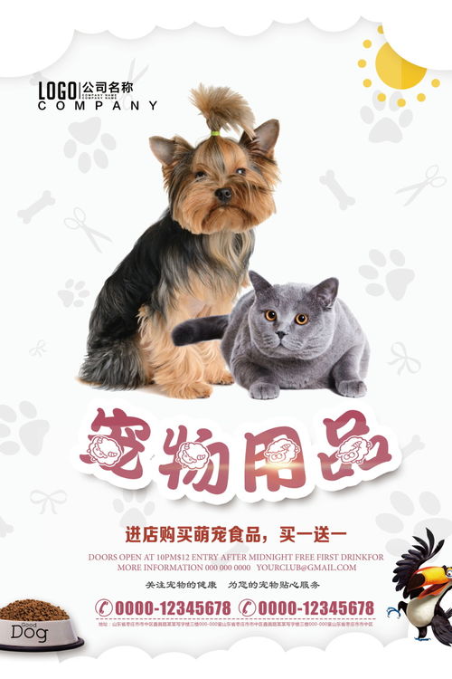 宠物店海报萌宠猫狗狗护理宠物用品宠物美容psd设计模板ps素材 宠物海报