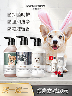 宠物护理全指南 让爱宠健康快乐的日常秘诀